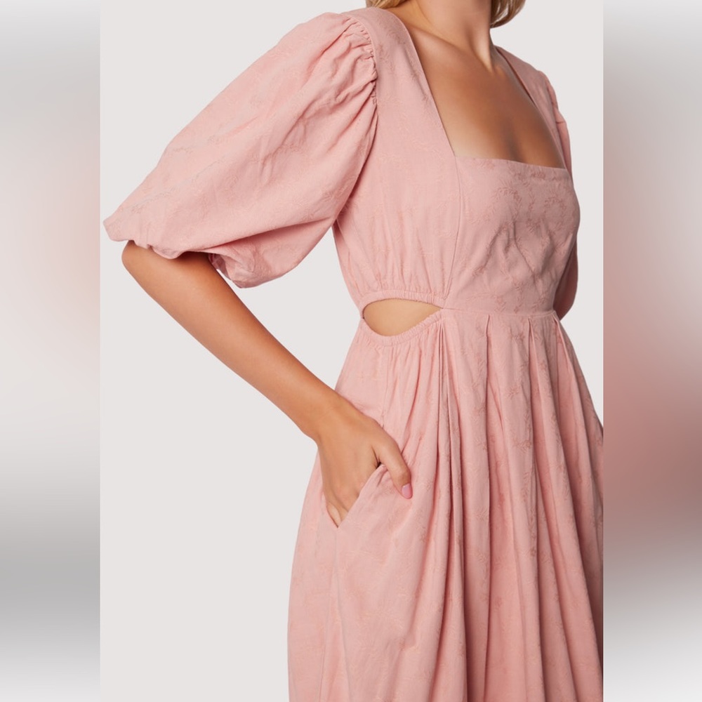 NWT Lost & Wander Blush Pink Bird Song Midi Dress, Size Medium